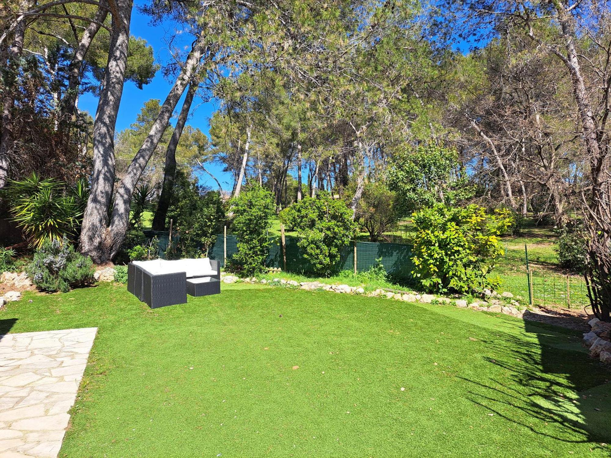 Maisonnette Au Milieu Des Pins *